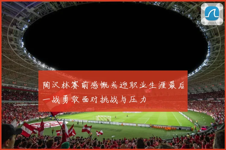 陶汉林赛前感慨或迎职业生涯最后一战勇敢面对挑战与压力